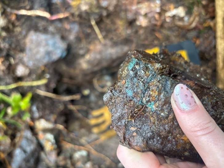 New Age Metals Options Magnet Lake Property ampliando aún más el Proyecto de Oro y Metales Críticos Bonanza Ridge, Distrito Minero de Kenora, Ontario New Age Metals Options Magnet Lake Property ampliando aún más el Proyecto de Oro y Metales Críticos Bonanza Ridge, Distrito Minero de Kenora, Ontario