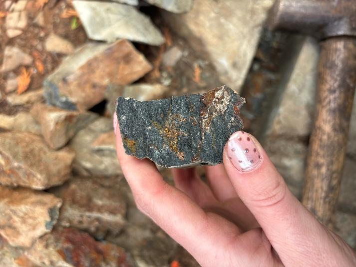 New Age Metals Options Magnet Lake Property ampliando aún más el Proyecto de Oro y Metales Críticos Bonanza Ridge, Distrito Minero de Kenora, Ontario