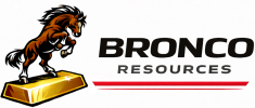 Bronco Resources Corp.